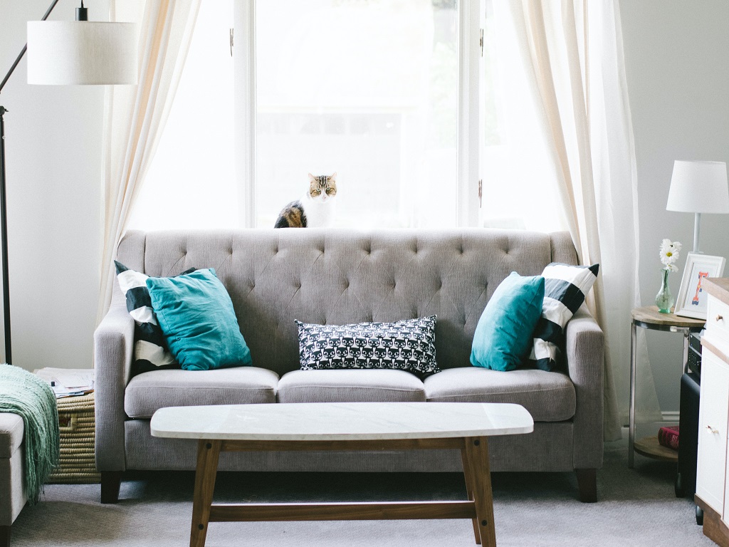 How to Choose the Right Furniture